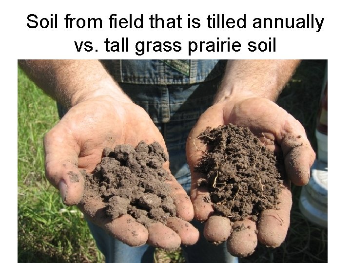 Soil from field that is tilled annually vs. tall grass prairie soil 