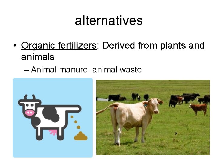 alternatives • Organic fertilizers: Derived from plants and animals – Animal manure: animal waste