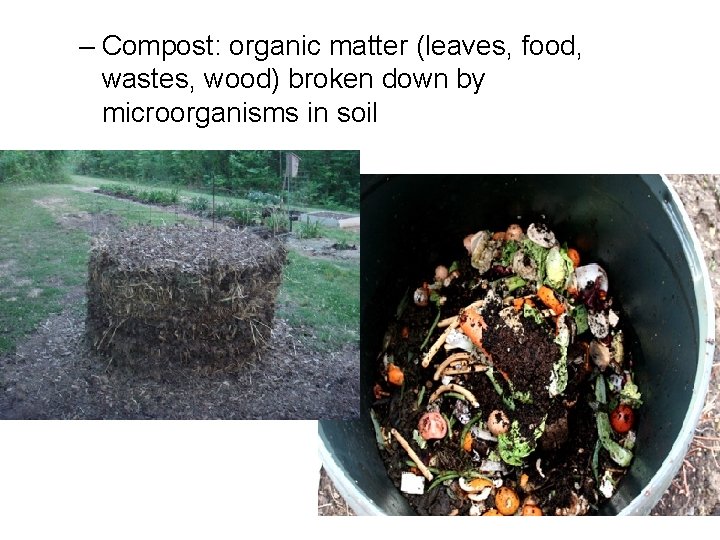 – Compost: organic matter (leaves, food, wastes, wood) broken down by microorganisms in soil