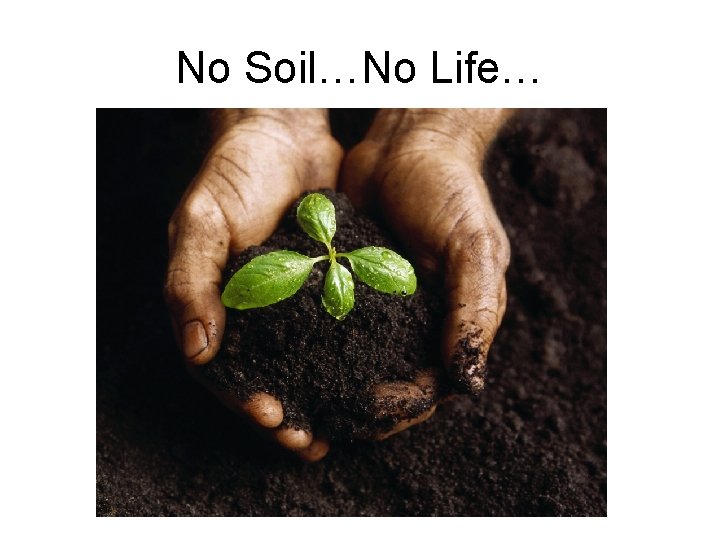 No Soil…No Life… 