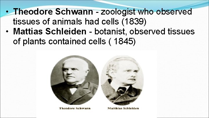  • Theodore Schwann - zoologist who observed tissues of animals had cells (1839)