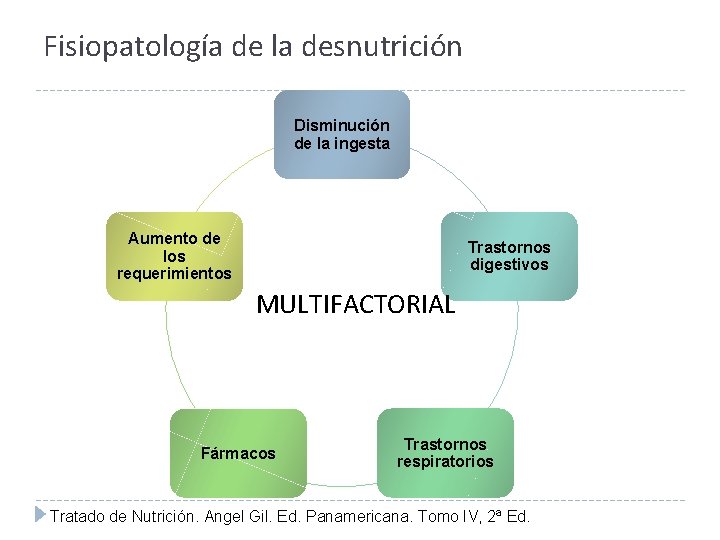 Fisiopatología de la desnutrición Disminución de la ingesta Aumento de los requerimientos Trastornos digestivos