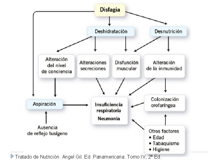 Tratado de Nutrición. Angel Gil. Ed. Panamericana. Tomo IV, 2ª Ed. 