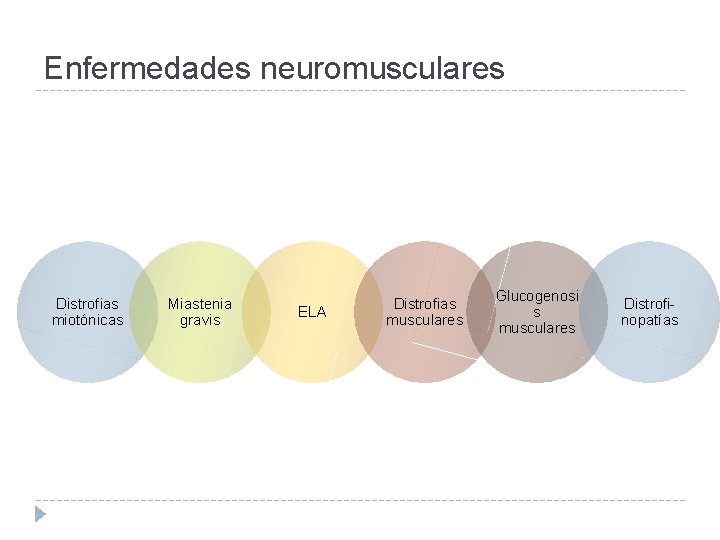 Enfermedades neuromusculares Distrofias miotónicas Miastenia gravis ELA Distrofias musculares Glucogenosi s musculares Distrofinopatías 