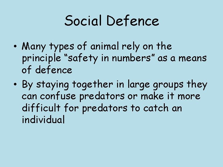 Social Defence • Many types of animal rely on the principle “safety in numbers”