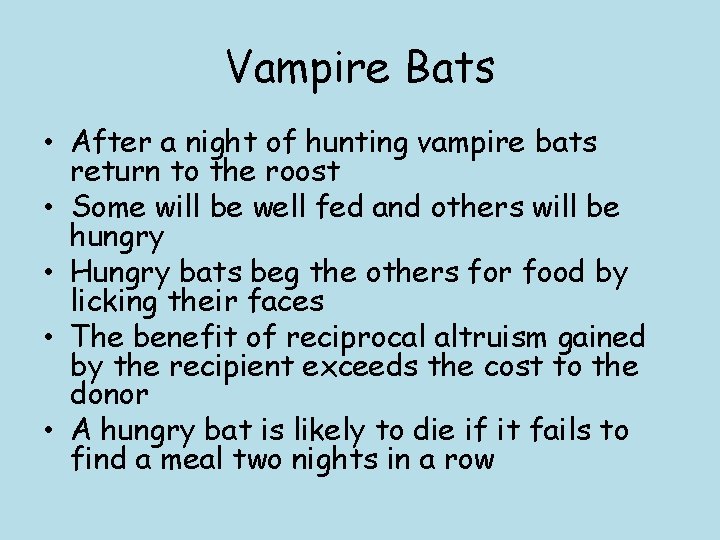 Vampire Bats • After a night of hunting vampire bats return to the roost