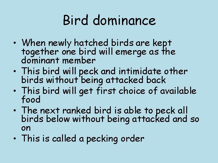 Bird dominance • When newly hatched birds are kept together one bird will emerge