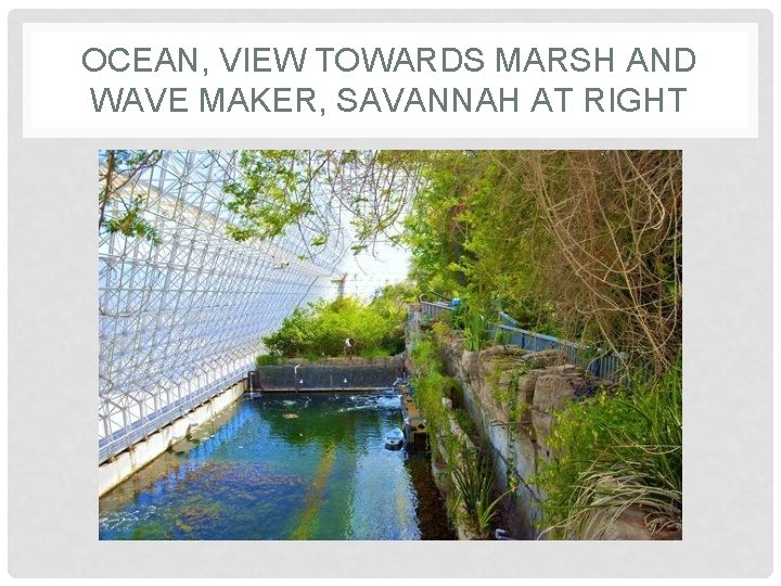 OCEAN, VIEW TOWARDS MARSH AND WAVE MAKER, SAVANNAH AT RIGHT OCEAN, VIEW TOWARDS MARSH AND WAVE MAKER, SAVANNAH AT RIGHT