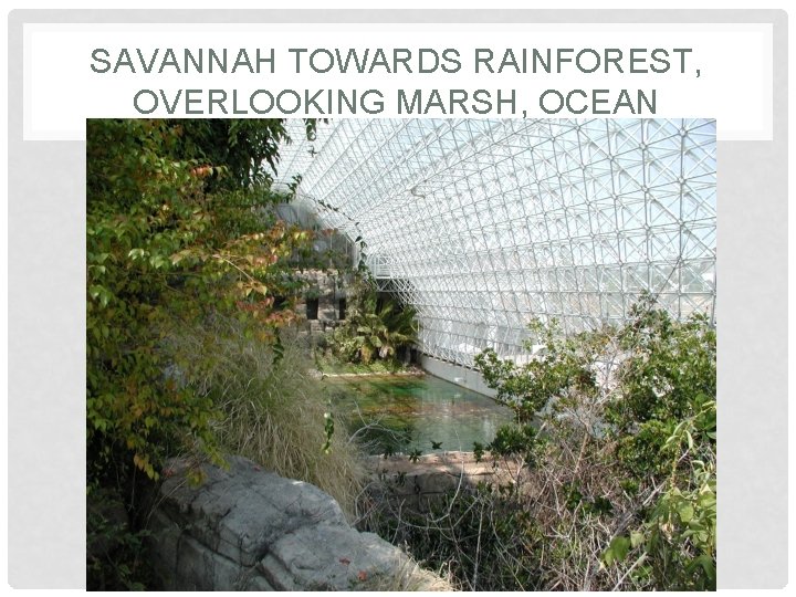 SAVANNAH TOWARDS RAINFOREST, OVERLOOKING MARSH, OCEAN SAVANNAH TOWARDS RAINFOREST, OVERLOOKING MARSH, OCEAN