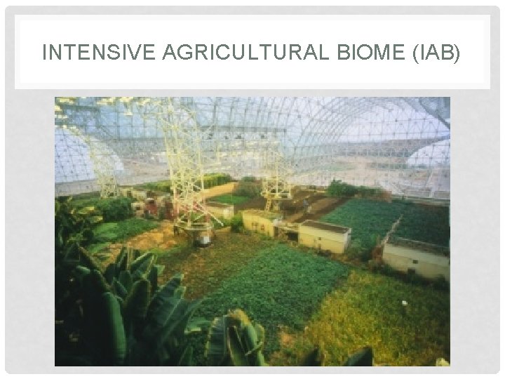 INTENSIVE AGRICULTURAL BIOME (IAB) INTENSIVE AGRICULTURAL BIOME (IAB)