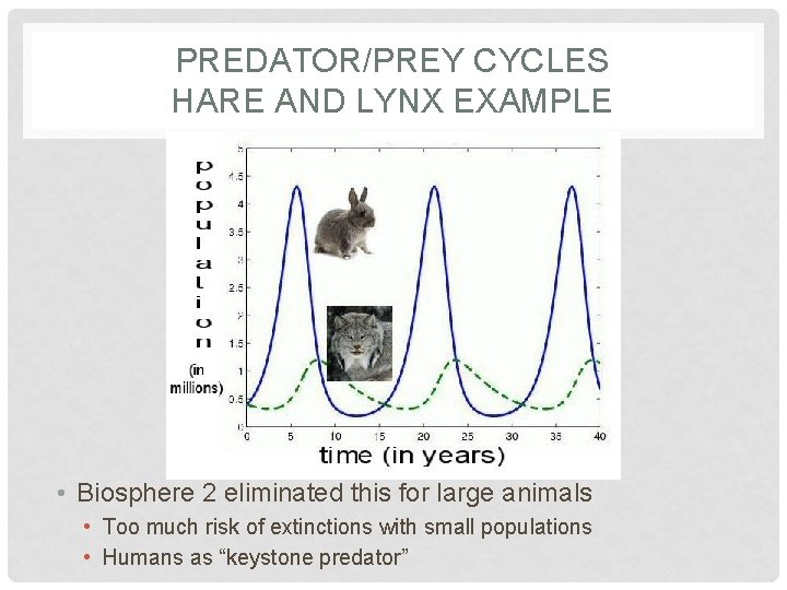 PREDATOR/PREY CYCLES HARE AND LYNX EXAMPLE • Biosphere 2 eliminated this for large animals PREDATOR/PREY CYCLES HARE AND LYNX EXAMPLE • Biosphere 2 eliminated this for large animals