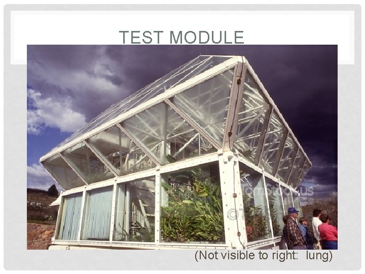 TEST MODULE (Not visible to right: lung) TEST MODULE (Not visible to right: lung)