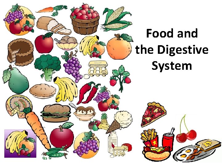Food and the Digestive System 
