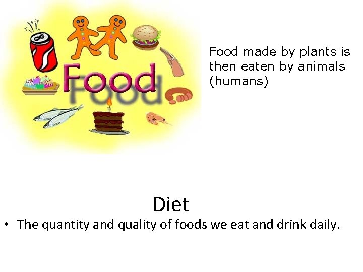 Food made by plants is then eaten by animals (humans) Diet • The quantity