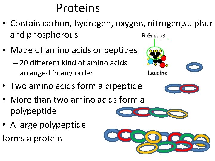 Proteins • Contain carbon, hydrogen, oxygen, nitrogen, sulphur and phosphorous • Made of amino