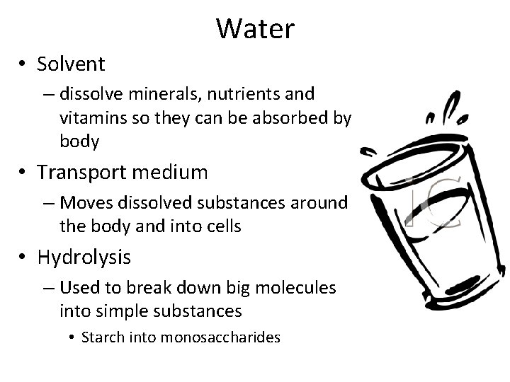 Water • Solvent – dissolve minerals, nutrients and vitamins so they can be absorbed