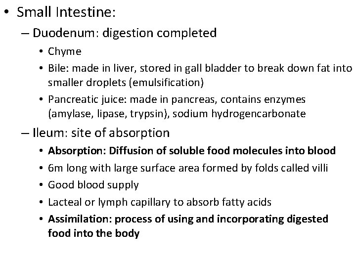  • Small Intestine: – Duodenum: digestion completed • Chyme • Bile: made in