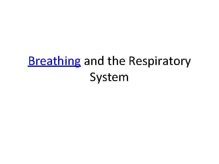 Breathing and the Respiratory System 