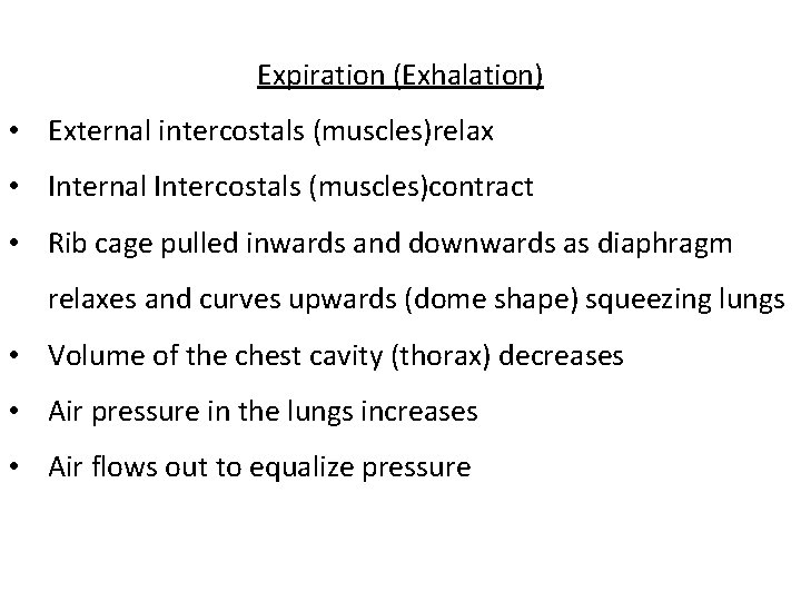 Expiration (Exhalation) • External intercostals (muscles)relax • Internal Intercostals (muscles)contract • Rib cage pulled