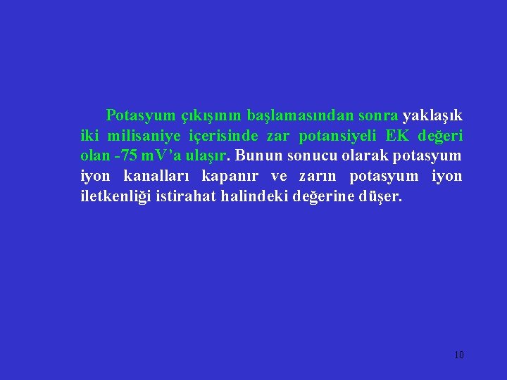 Potasyum çıkışının başlamasından sonra yaklaşık iki milisaniye içerisinde zar potansiyeli EK değeri olan -75