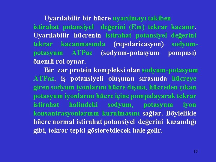 Uyarılabilir bir hücre uyarılmayı takiben istirahat potansiyel değerini (Em) tekrar kazanır. Uyarılabilir hücrenin istirahat