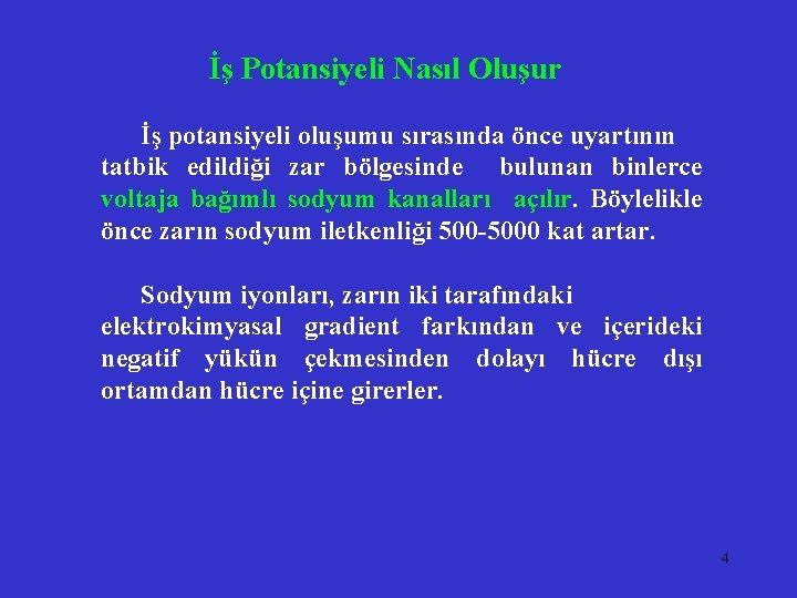 İş Potansiyeli Nasıl Oluşur İş potansiyeli oluşumu sırasında önce uyartının tatbik edildiği zar bölgesinde