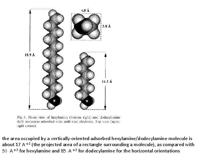 the area occupied by a vertically-oriented adsorbed hexylamine/dodecylamine molecule is about 17 A o