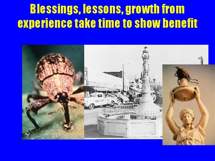 Blessings, lessons, growth from experience take time to show benefit 