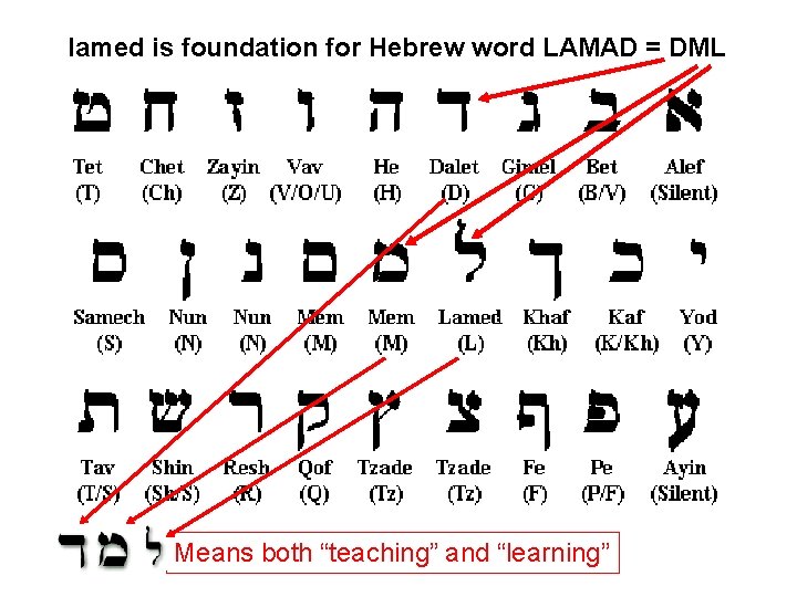 lamed is foundation for Hebrew word LAMAD = DML Means both “teaching” and “learning”