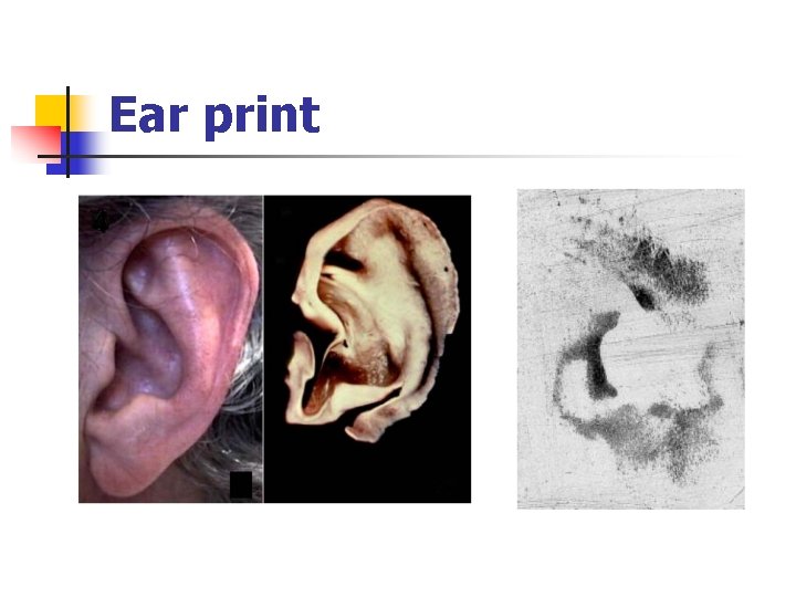 Ear print 