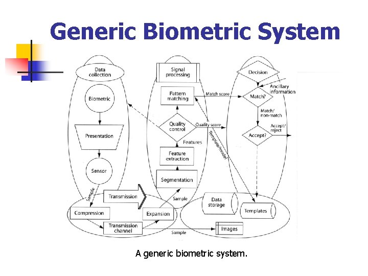 Generic Biometric System A generic biometric system. 