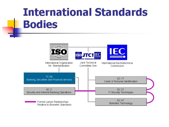 International Standards Bodies 