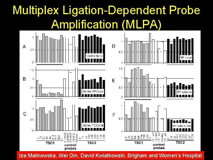 Multiplex Ligation-Dependent Probe Amplification (MLPA) Iza Malinowska, Wei Qin, David Kwiatkowski, Brigham and Women’s