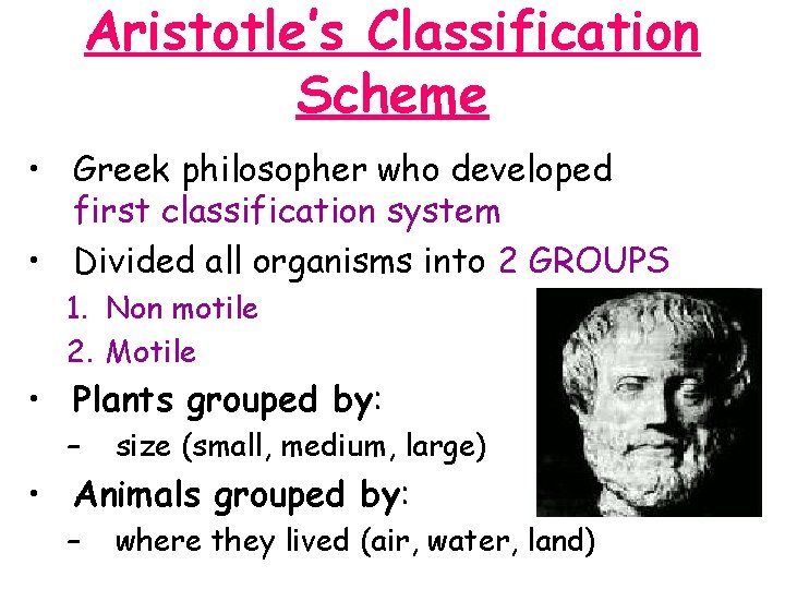 Aristotle’s Classification Scheme • Greek philosopher who developed first classification system • Divided all