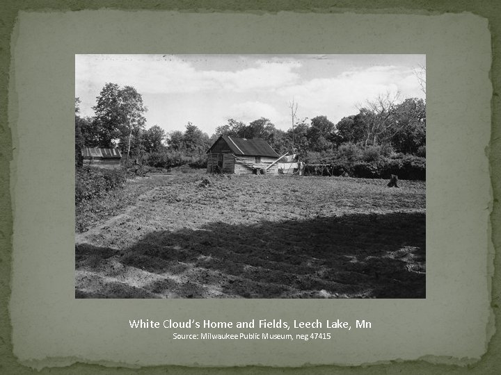 White Cloud’s Home and Fields, Leech Lake, Mn Source: Milwaukee Public Museum, neg 47415