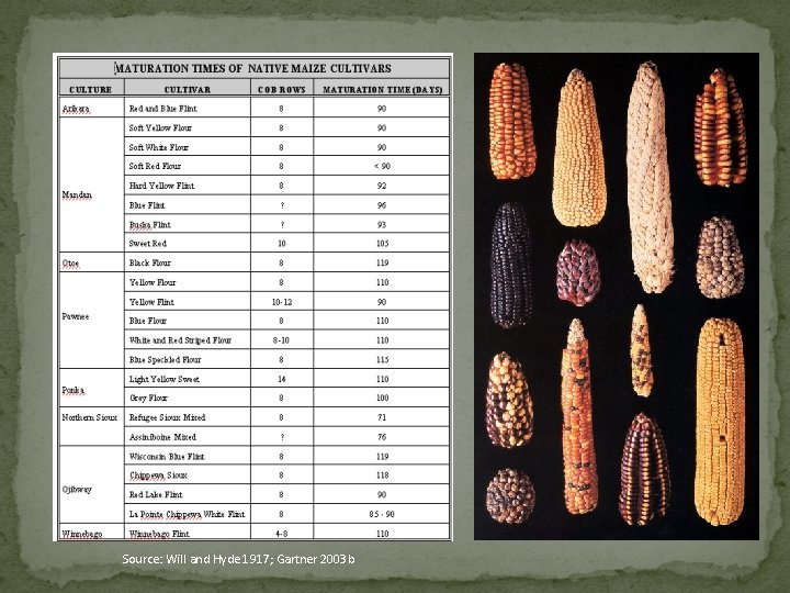 Source: Will and Hyde 1917; Gartner 2003 b 