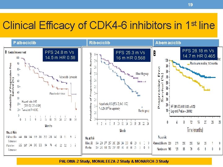 19 Clinical Efficacy of CDK 4 -6 inhibitors in 1 st line Palbociclib. Ribociclib