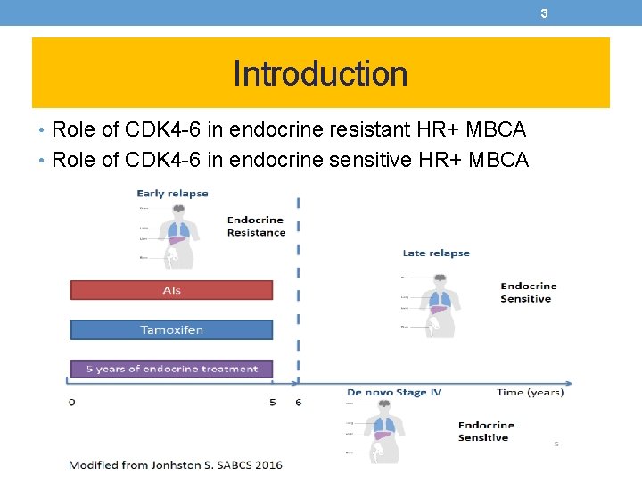 3 Introduction • Role of CDK 4 -6 in endocrine resistant HR+ MBCA •