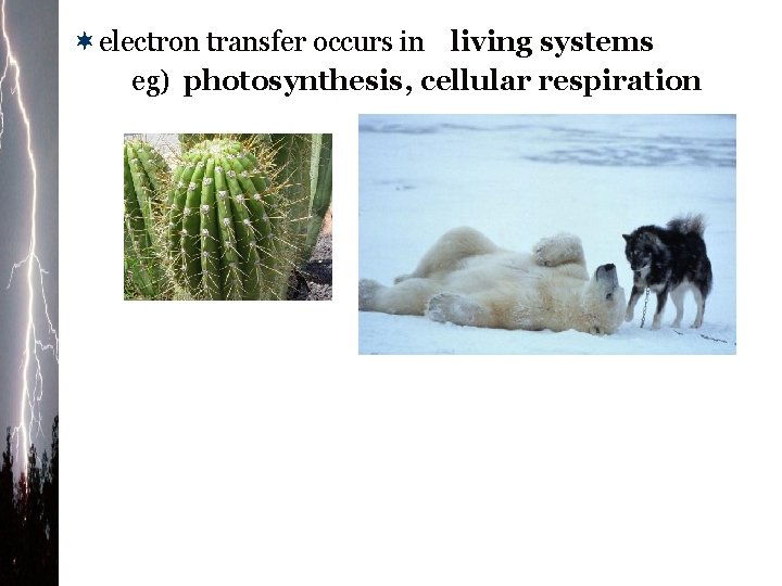 ¬electron transfer occurs in living systems eg) photosynthesis, cellular respiration 