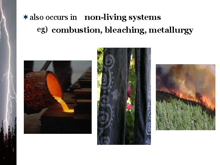 ¬also occurs in non-living systems eg) combustion, bleaching, metallurgy 