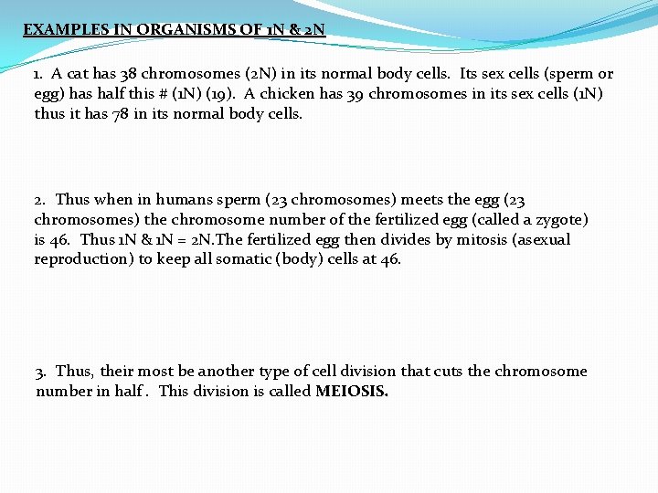 EXAMPLES IN ORGANISMS OF 1 N & 2 N 1. A cat has 38