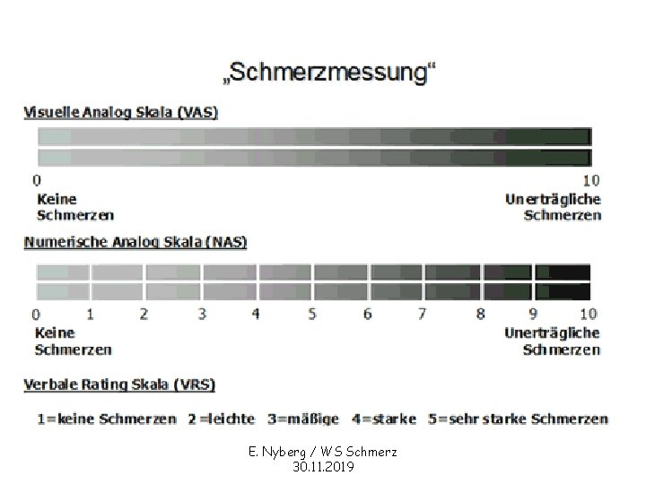 E. Nyberg / WS Schmerz 30. 11. 2019 