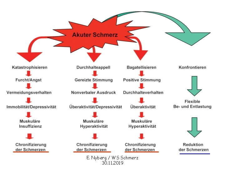 E. Nyberg / WS Schmerz 30. 11. 2019 