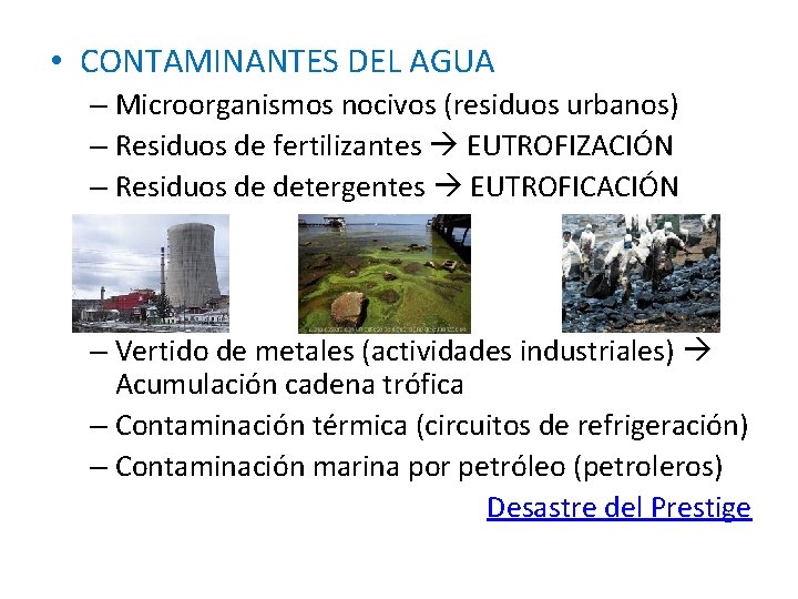  • CONTAMINANTES DEL AGUA – Microorganismos nocivos (residuos urbanos) – Residuos de fertilizantes
