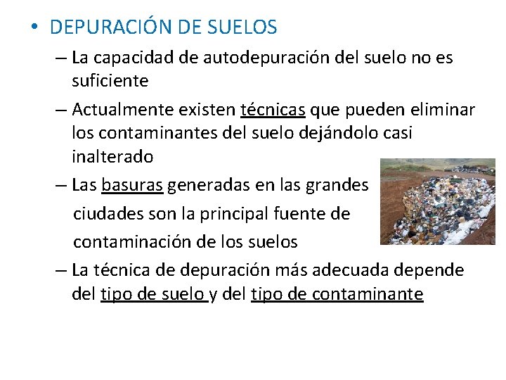  • DEPURACIÓN DE SUELOS – La capacidad de autodepuración del suelo no es