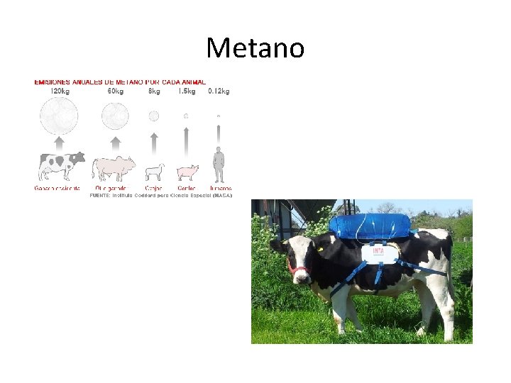 Metano 