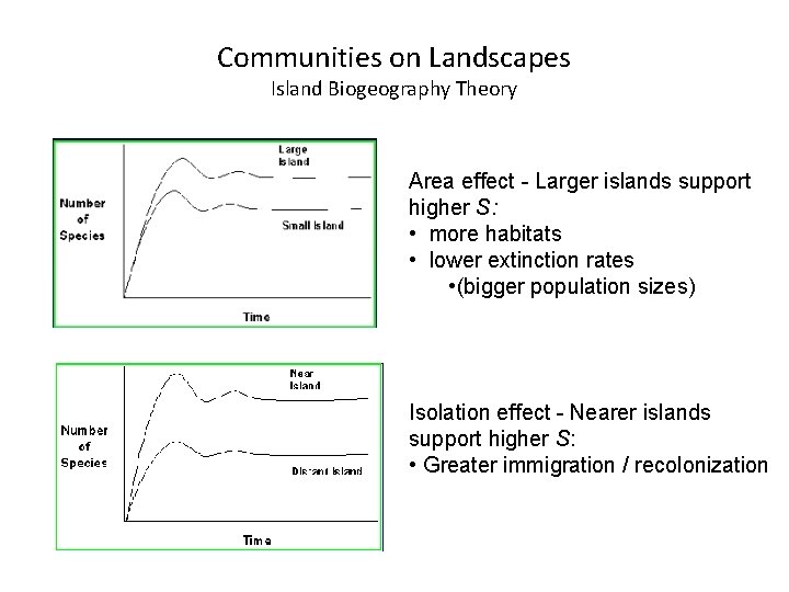 Communities on Landscapes Island Biogeography Theory Area effect - Larger islands support higher S: