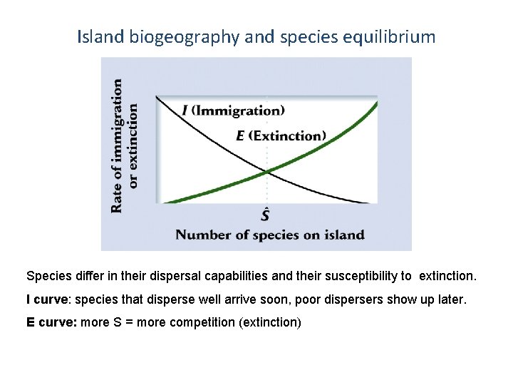 Island biogeography and species equilibrium Species differ in their dispersal capabilities and their susceptibility