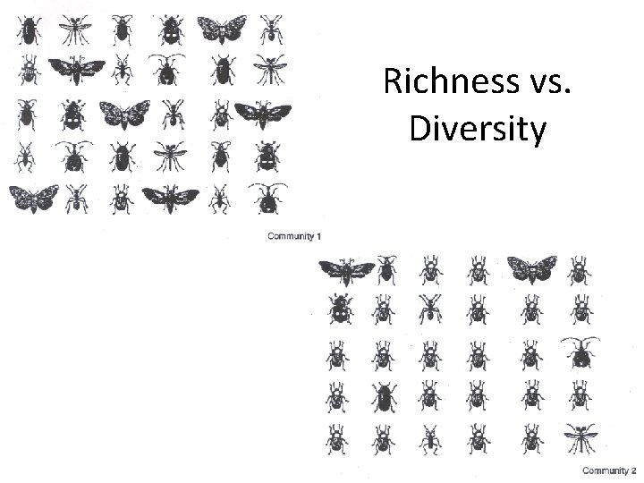 Richness vs. Diversity 