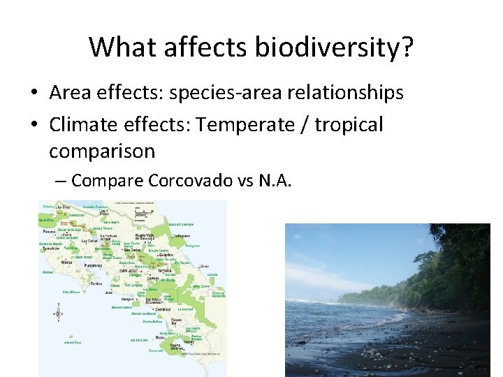 What affects biodiversity? • Area effects: species-area relationships • Climate effects: Temperate / tropical